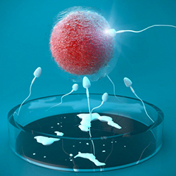 �w��ӳ��(hu��)