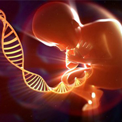 ���տ��_(d��)�C(j��)�